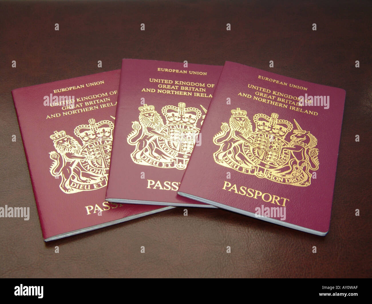 Tre passaporti britannici Regno Unito 2005 Foto Stock