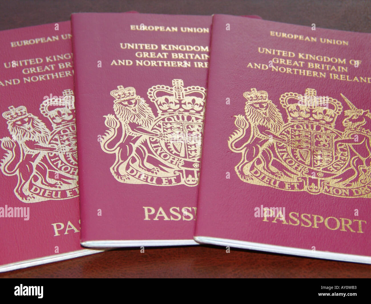 Tre passaporti britannici Regno Unito 2005 Foto Stock