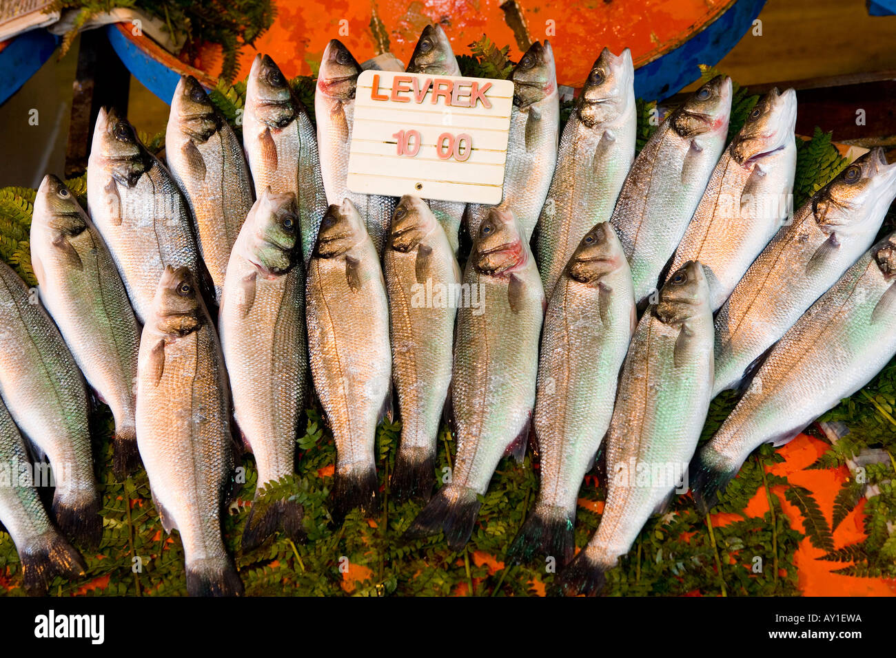 Spigola pesce per la vendita al mercato in stallo ad Istanbul in Turchia Foto Stock