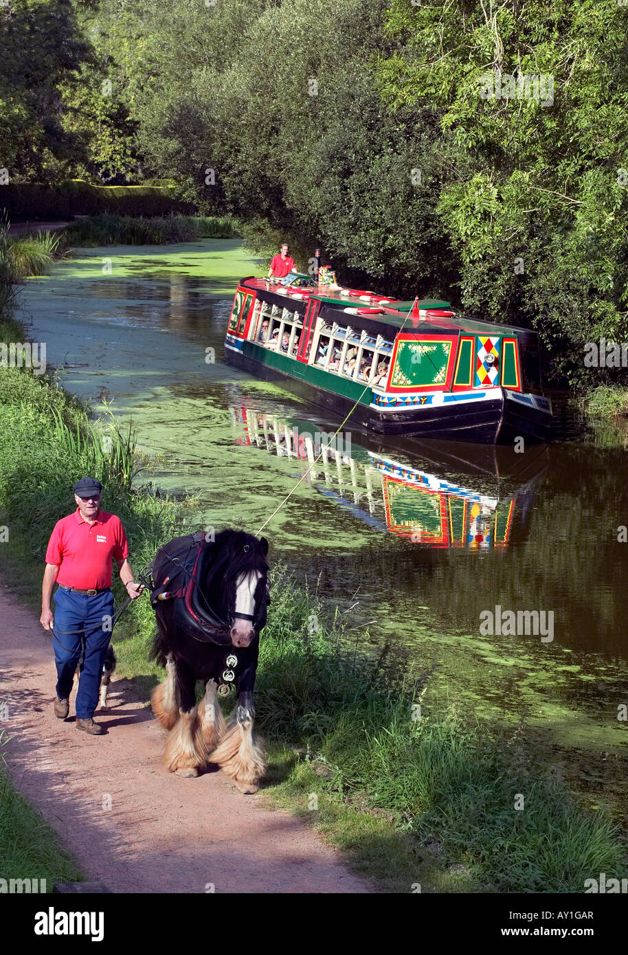 Barca stretta che viene trainato lungo il Gran Canale occidentale a cavallo, Tiverton Devon, Inghilterra Foto Stock