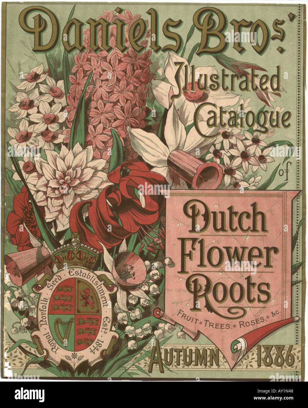 Daniels Bros. Catalogo radici floreali olandesi circa 1895 Foto Stock