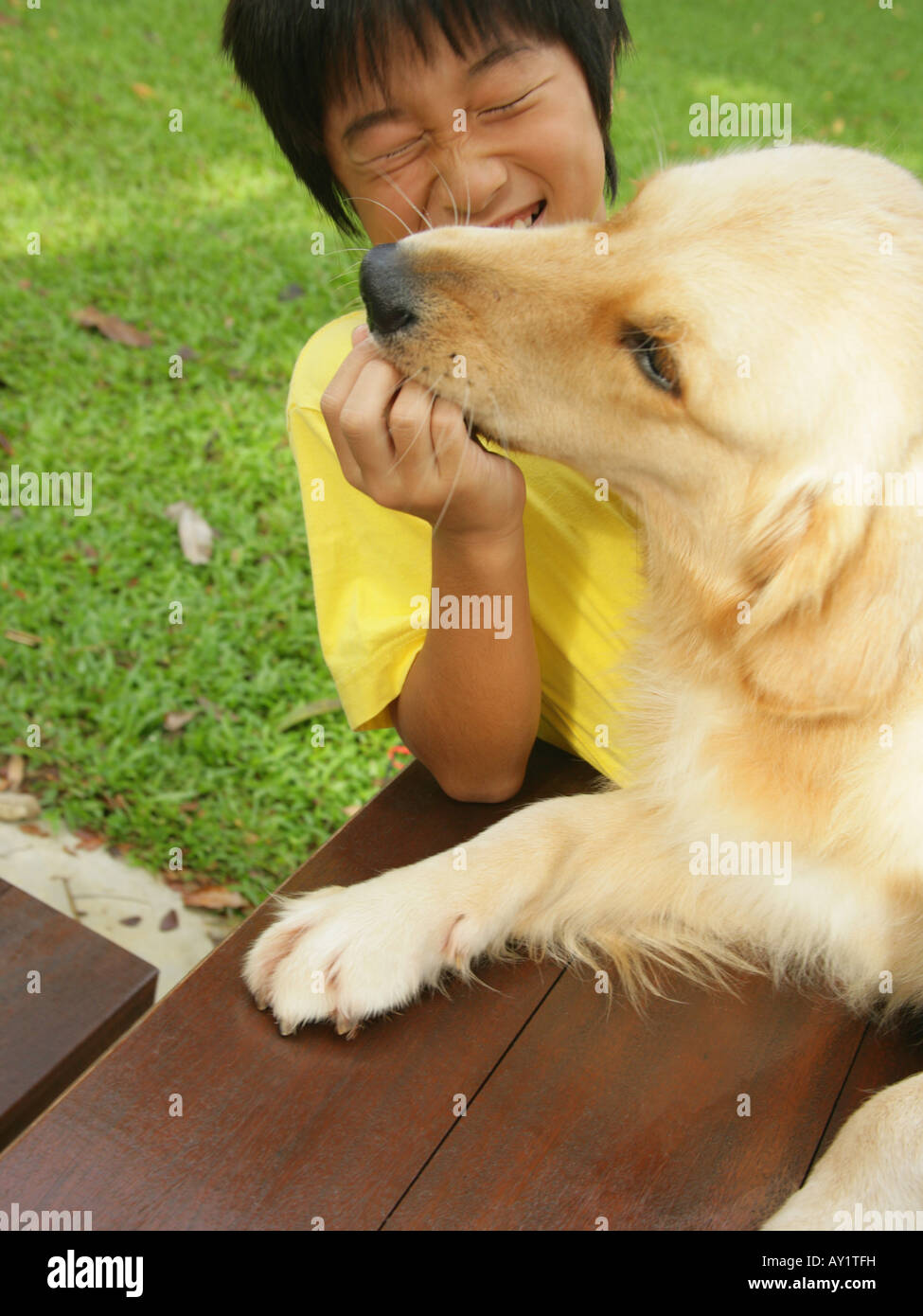 Close-up di un ragazzo giocando con un cane Foto Stock