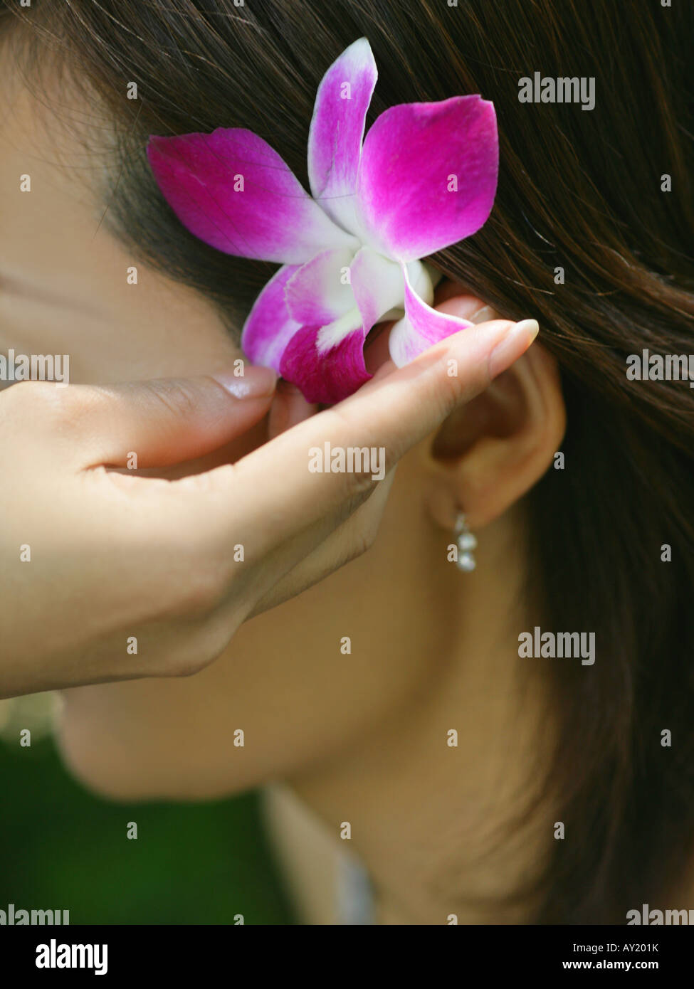 Close-up di una donna mettendo mano un'orchidea in un'altra donna capelli Foto Stock