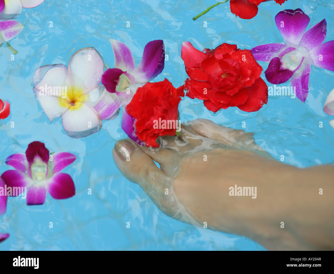 Alta Vista angolo di piede di una donna immerso in acqua con fiori Foto Stock