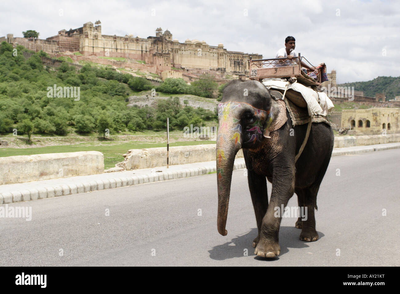 Un mahout guida il suo elefante lungo la strada di fronte al Forte Amber vicino a Jaipur nel Rajasthan, India. Foto Stock
