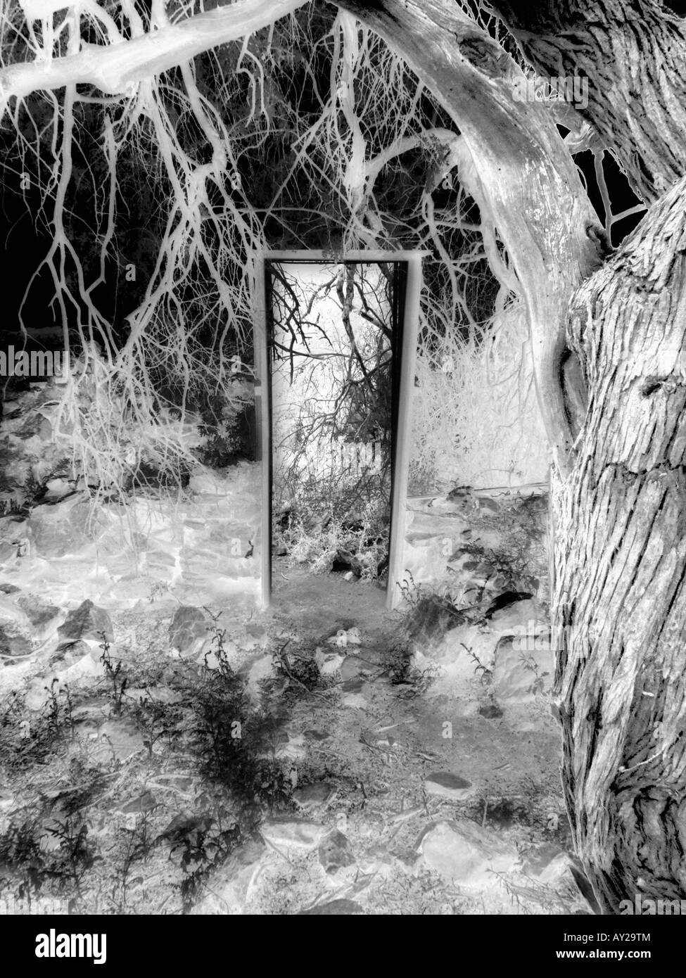 Parzialmente negativa in free-standing porta fotografata a raggi infrarossi in Vulture miniera, Wickenberg, Arizona, Stati Uniti d'America Foto Stock