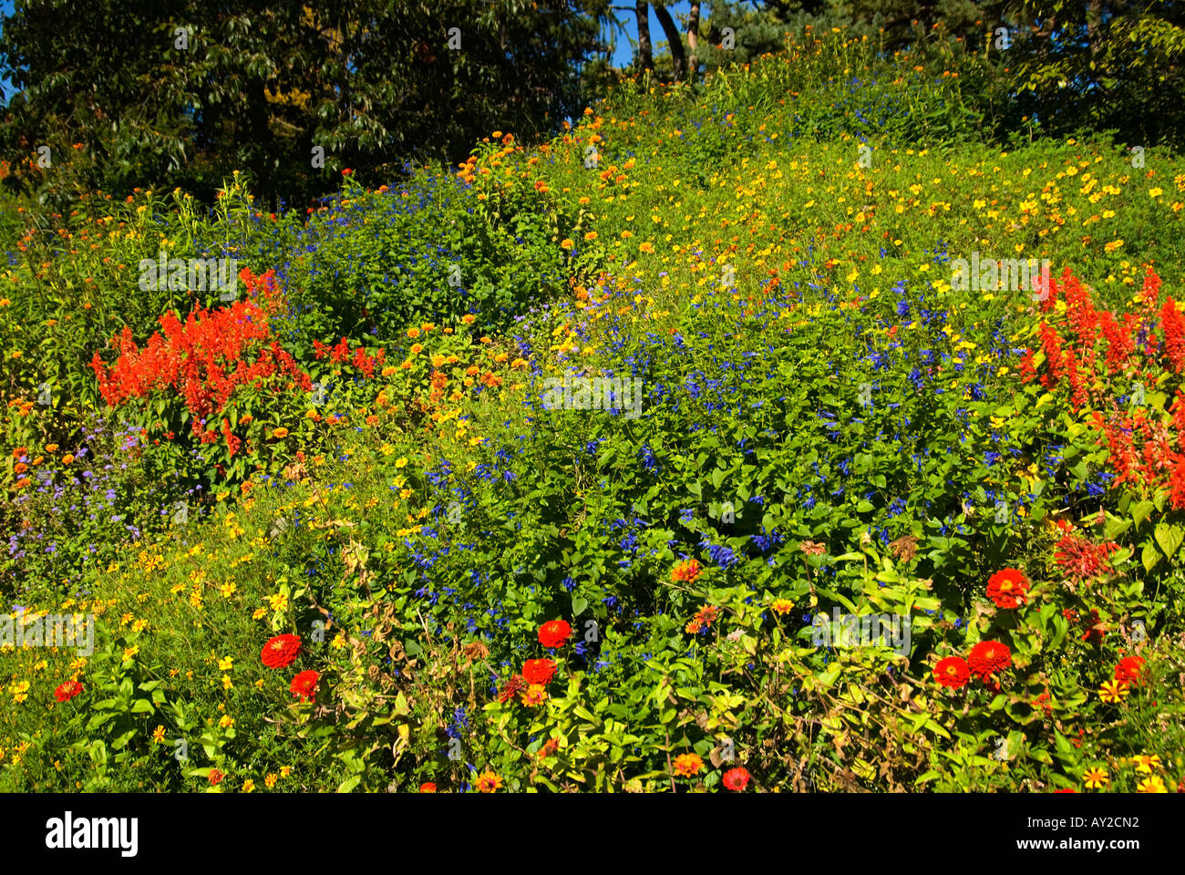 Giardino collina Foto Stock