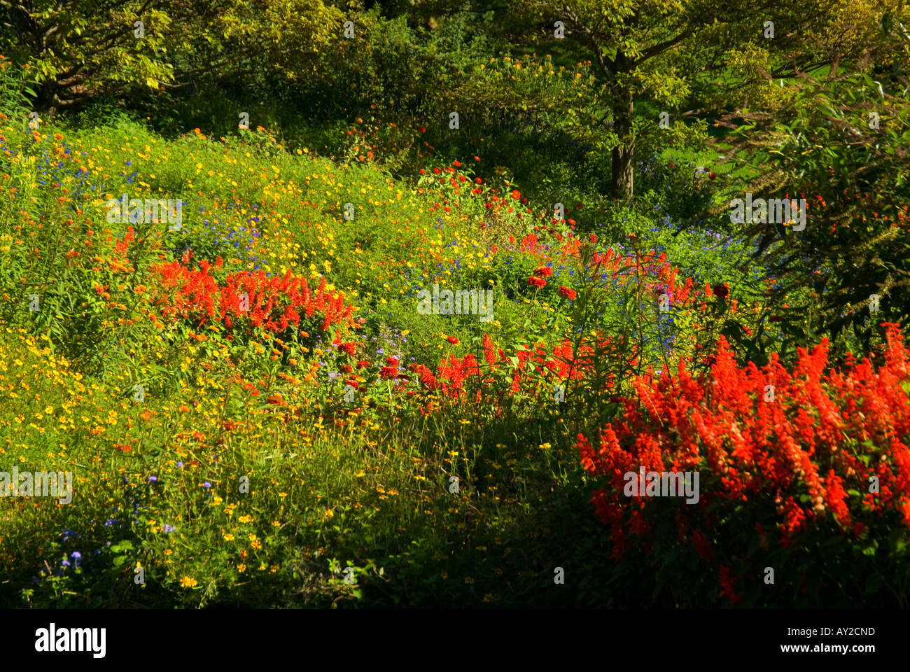 Giardino collina Foto Stock