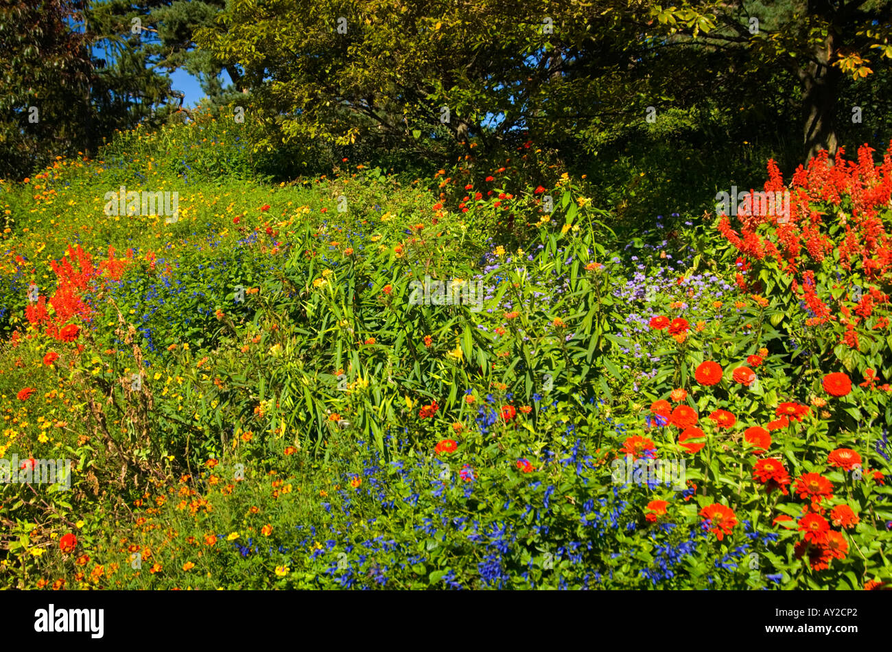 Giardino collina Foto Stock