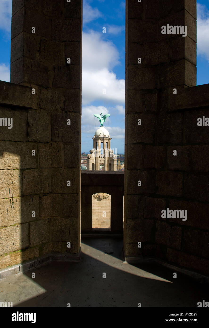 Royal Liver edifici, Liverpool Foto Stock