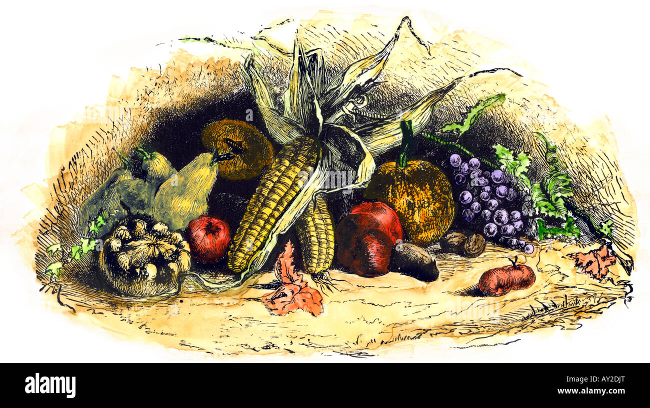 Nuovo Mondo coltivazioni di mais squash e frutta. Colorate a mano la xilografia Foto Stock