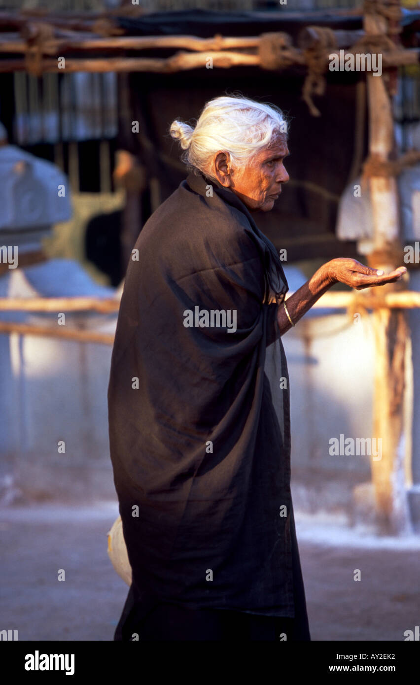Vecchia donna accattonaggio in Tirupati, Andhra Pradesh, India. Foto Stock