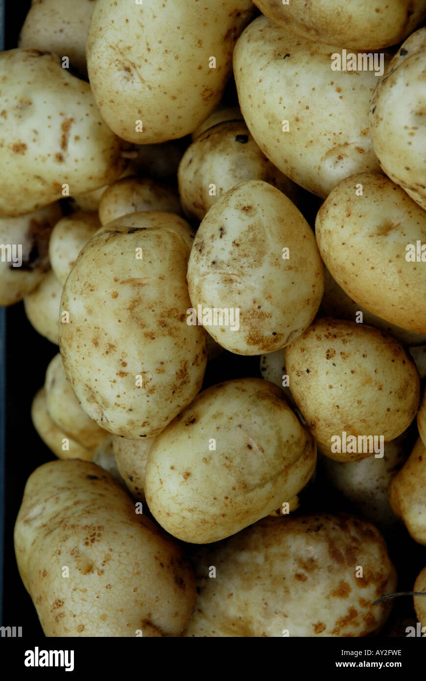 Organici di patate patate Foto Stock
