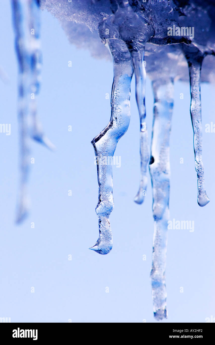 Icicle di ghiaccio lo sfondo è blu cielo Foto Stock