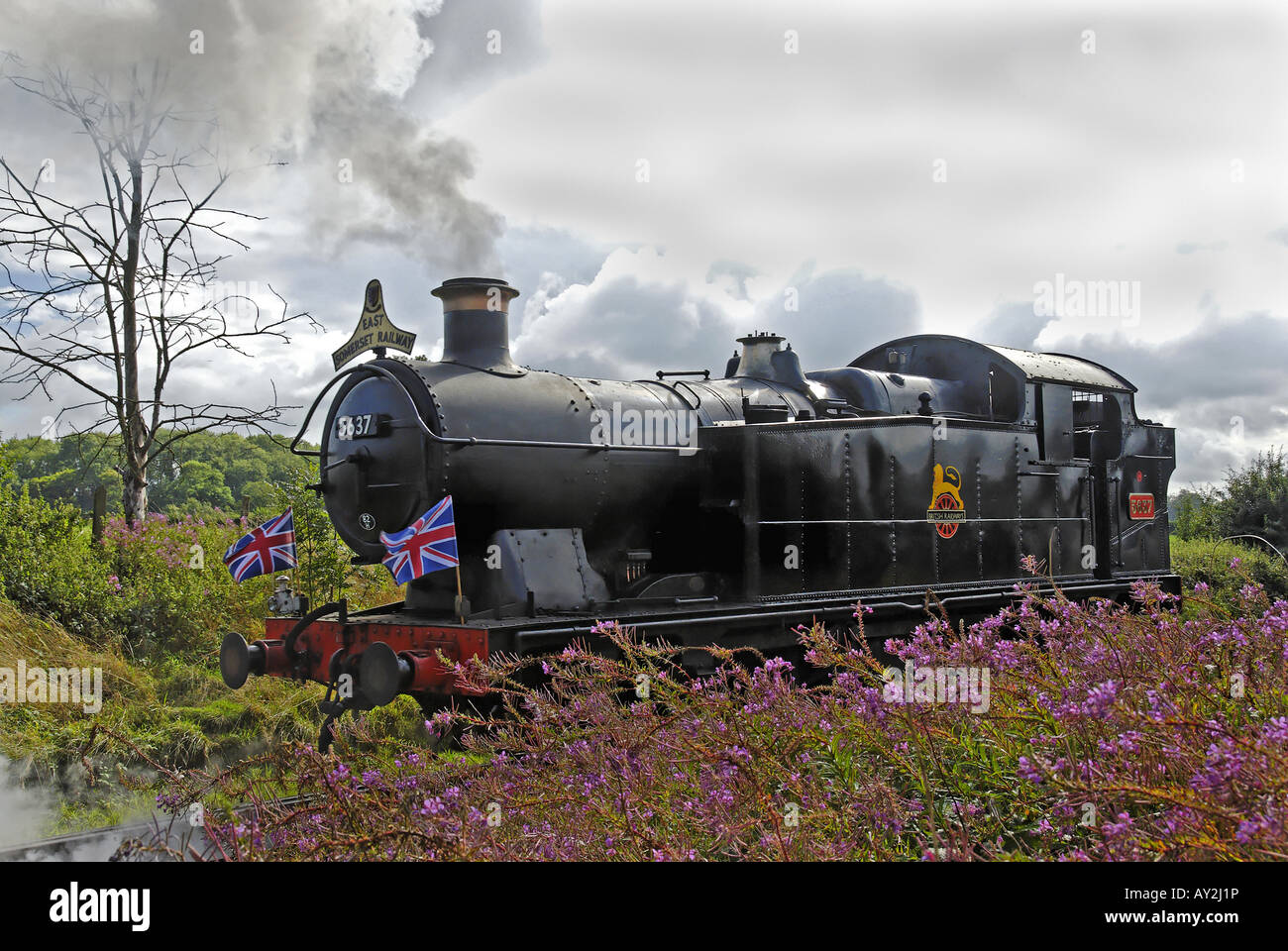 Treno a vapore No.5637 alla stazione Cranmore, East Somerset Railway Foto Stock