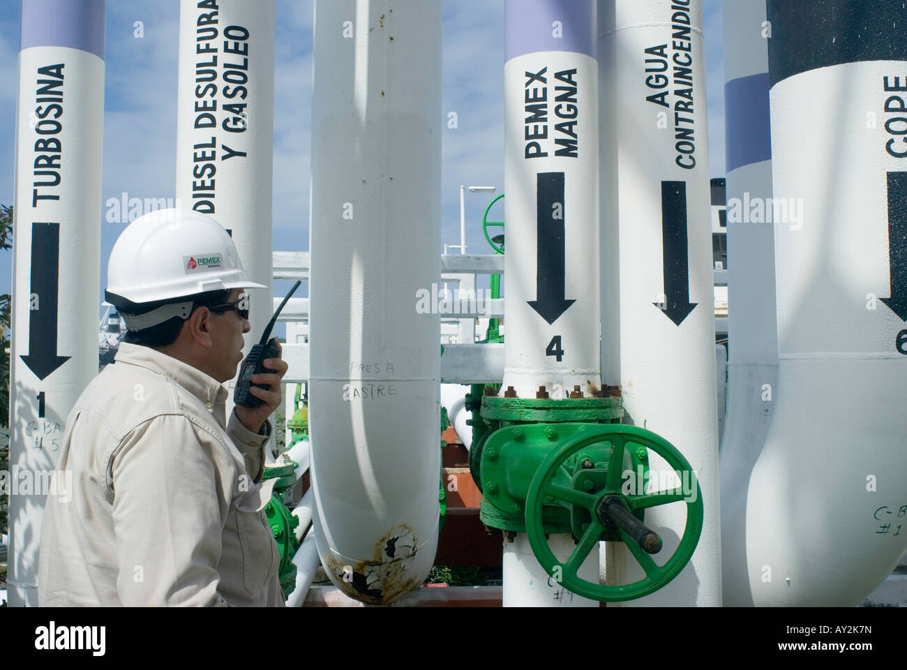 Un sistema di condotti porta idrocarburi raffinato alle navi cisterna e anche riceve in entrata il petrolio greggio a Pemex Pajaritos complessa Foto Stock