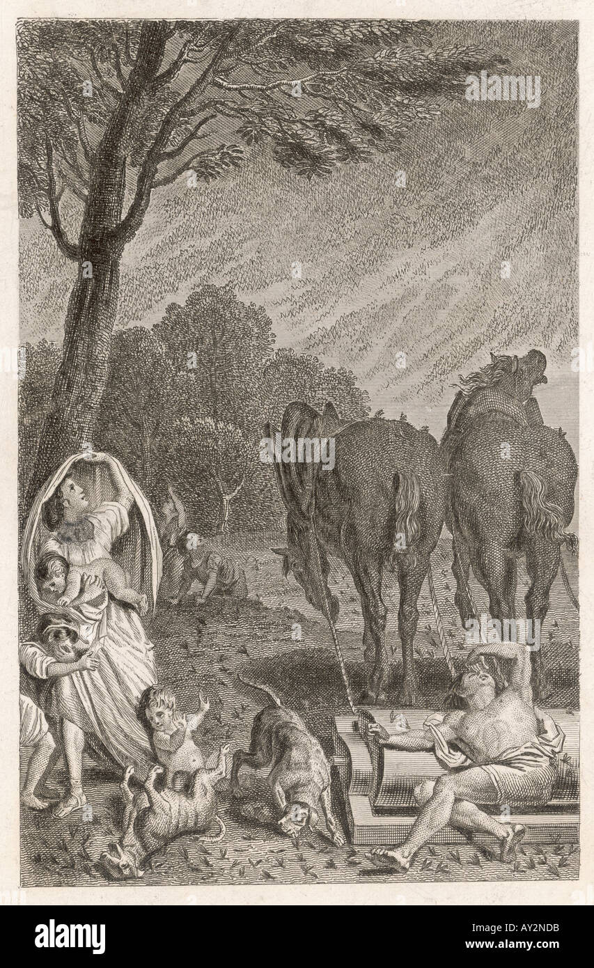 Piaga di locuste Foto Stock