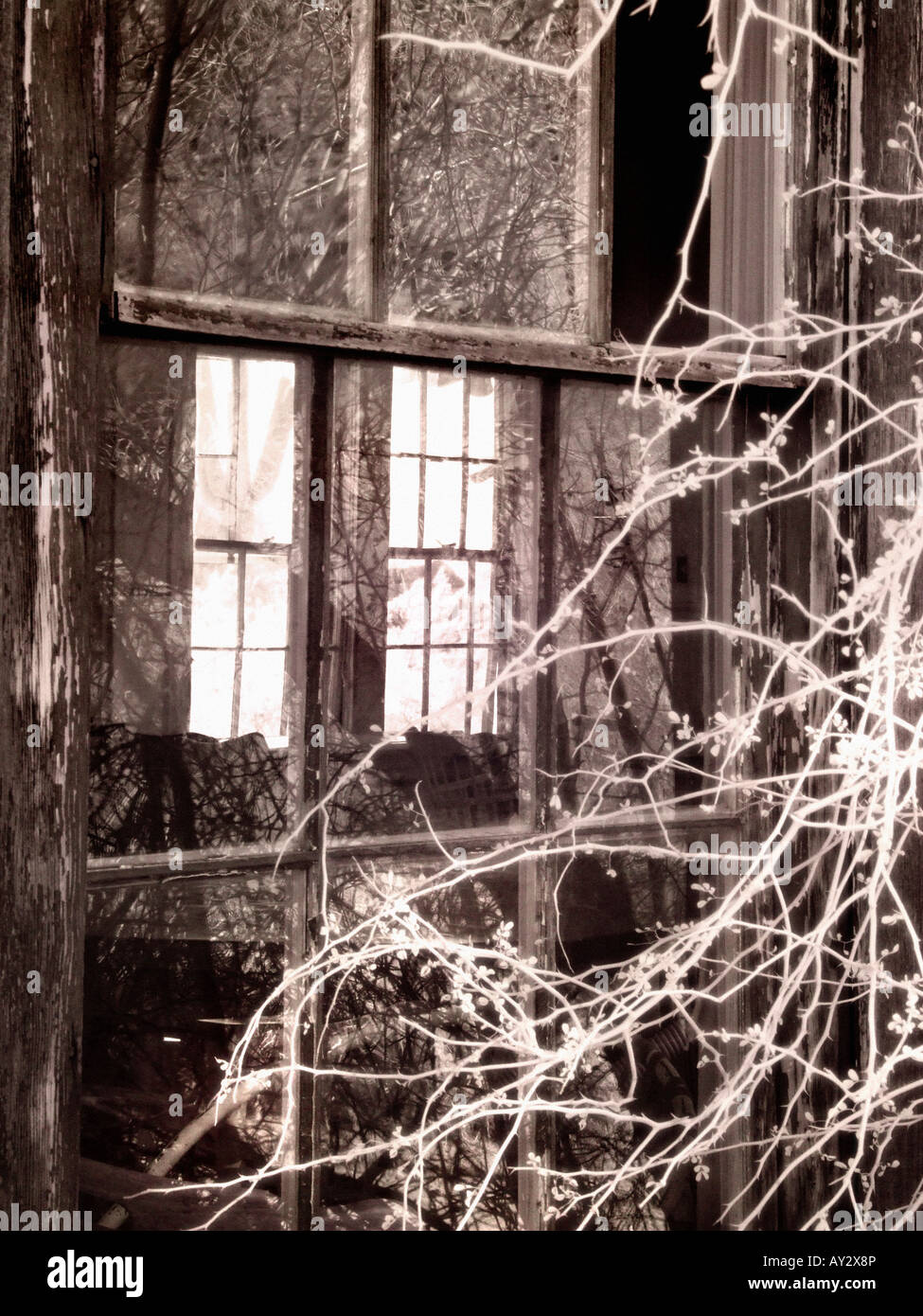 Edificio abbandonato & tumbleweed fotografata a raggi infrarossi Foto Stock