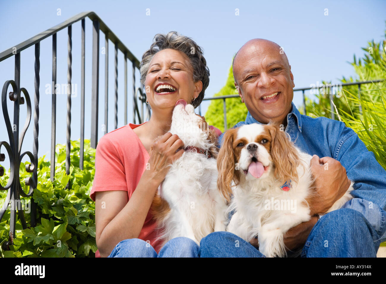 Senior americano africano giovane con i cani Foto Stock
