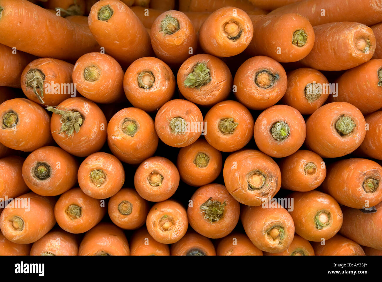 Vista della estremità superiore di una pila di carote Foto Stock