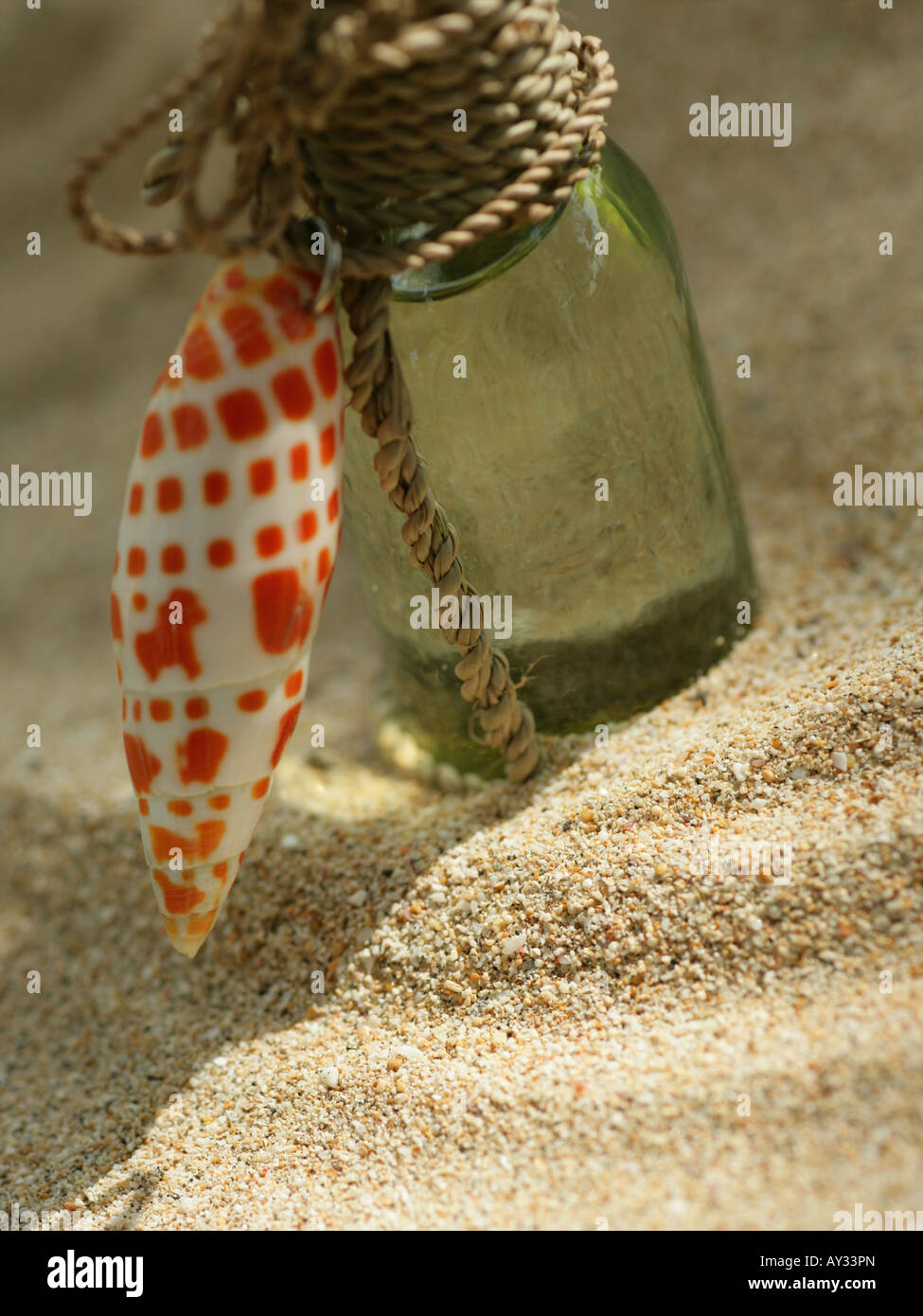 Close-up di una bottiglia vuota con un guscio ad essa legate Foto Stock