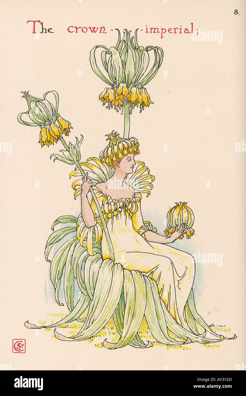 Fritillaria Imperialis Foto Stock