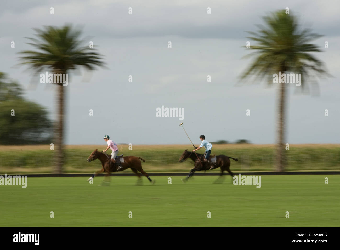 Polo su una estancia in Argentina Foto Stock