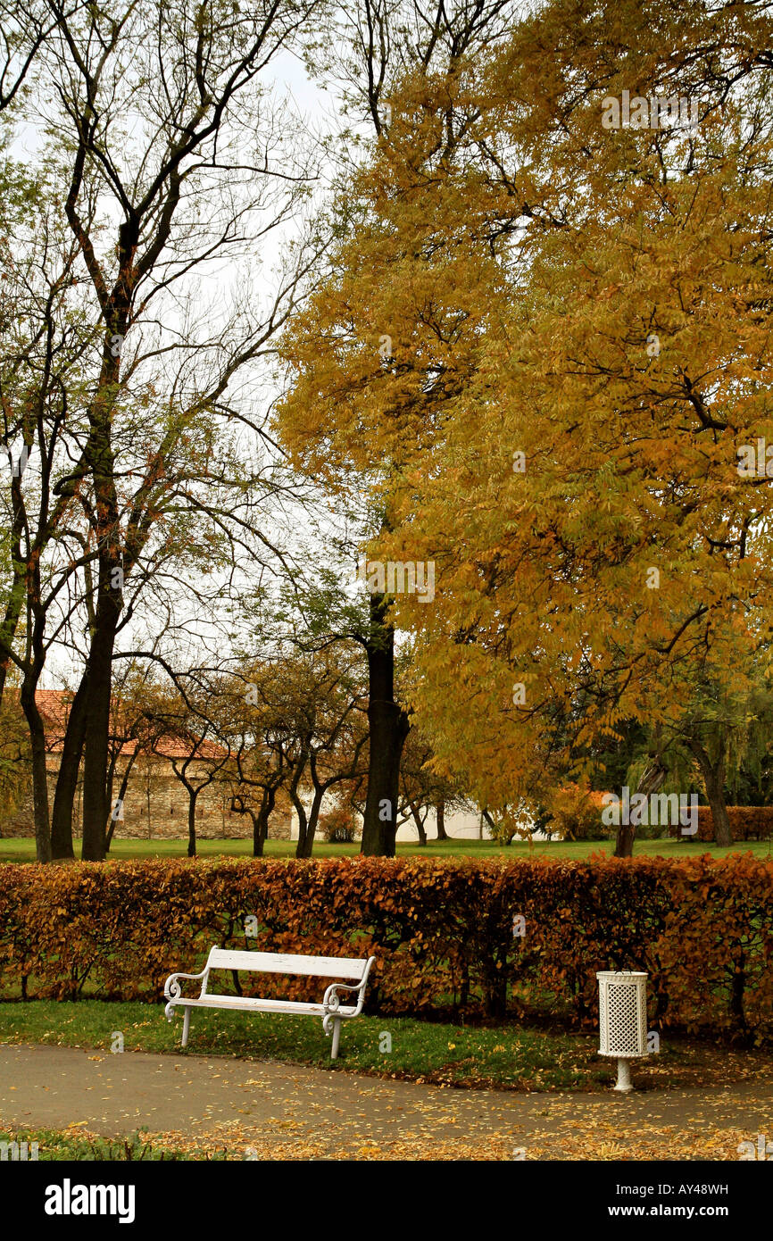 Banco di bianco in un parco, i colori dell'autunno Foto Stock