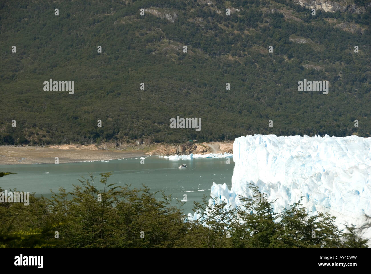 Argentina Glaciar, Moreno Glaciar Foto Stock