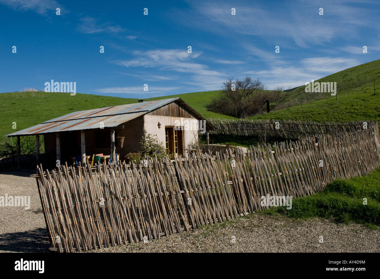 Sanford vigneti Santa Rita Hills California Foto Stock