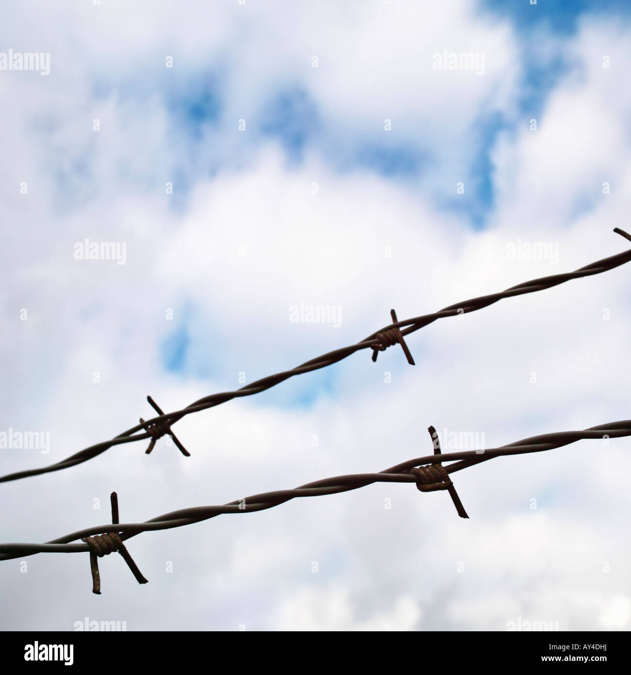 Filo spinato / barbwire contro il cielo blu Foto Stock