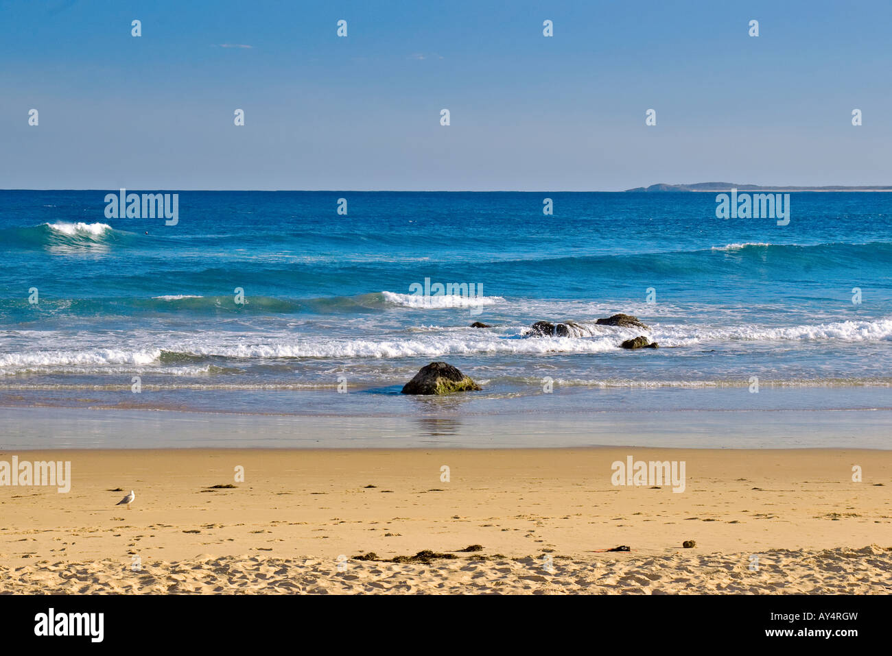 Bella chiara spiaggia tropicale per le tue vacanze estive Foto Stock
