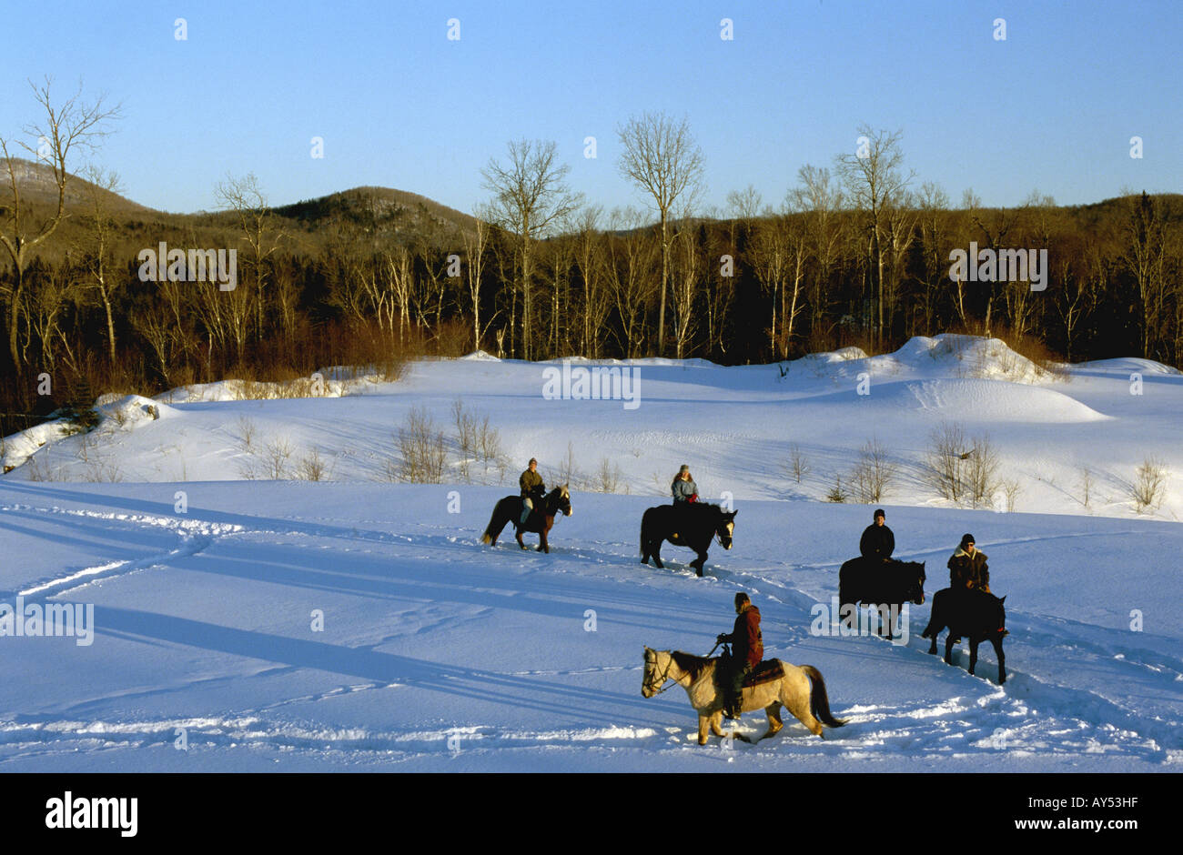 Canada Quebec Mont Tremblant l'Eremo ranch equitazione Foto Stock