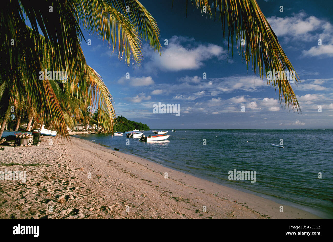 Caraibi francesi Isole dei Caraibi Marie Galante Grand Bourg Beach Foto Stock
