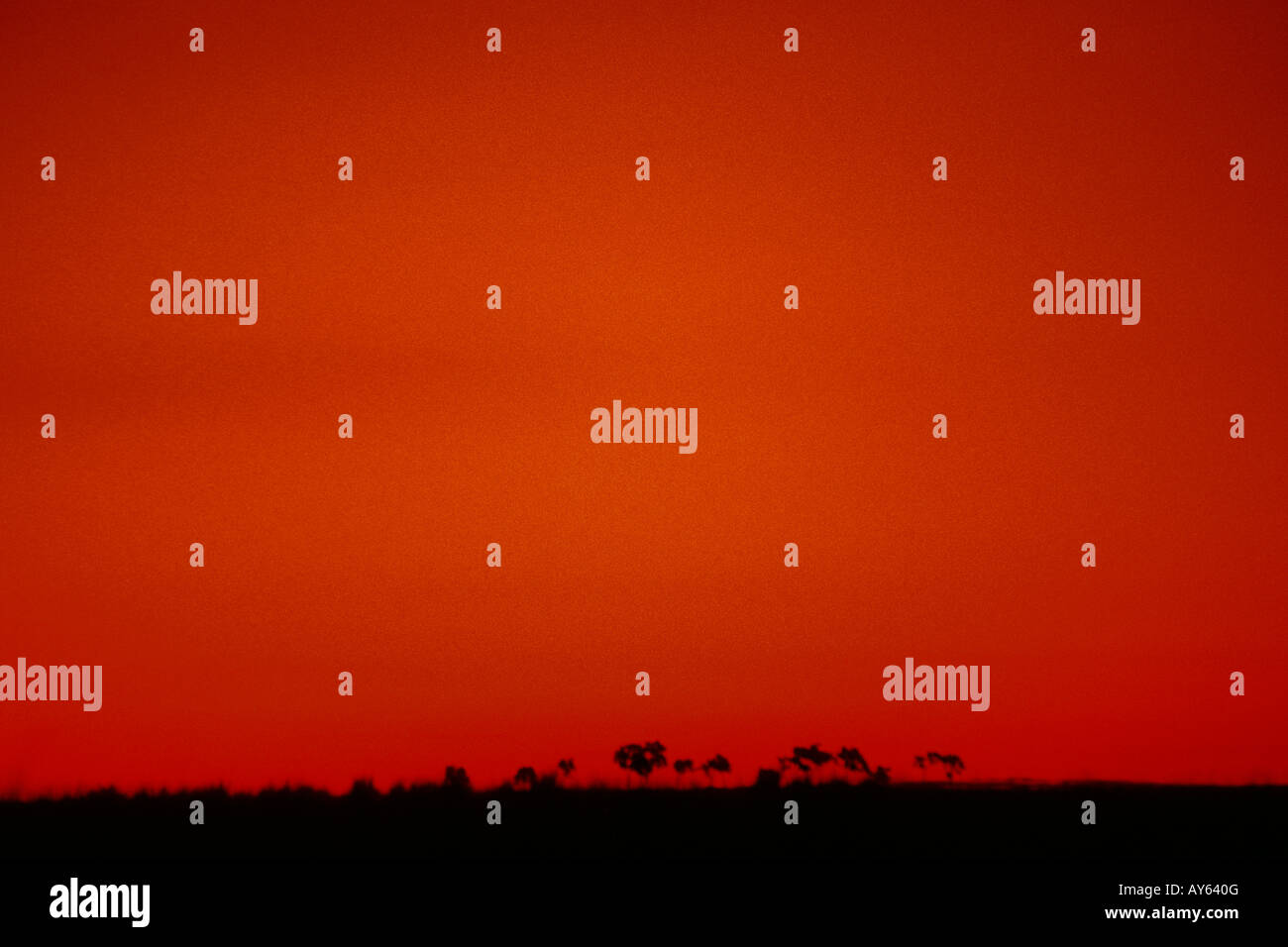 In Australia i mondi più lunga di consegna postale service attraverso l'entroterra Foto Stock