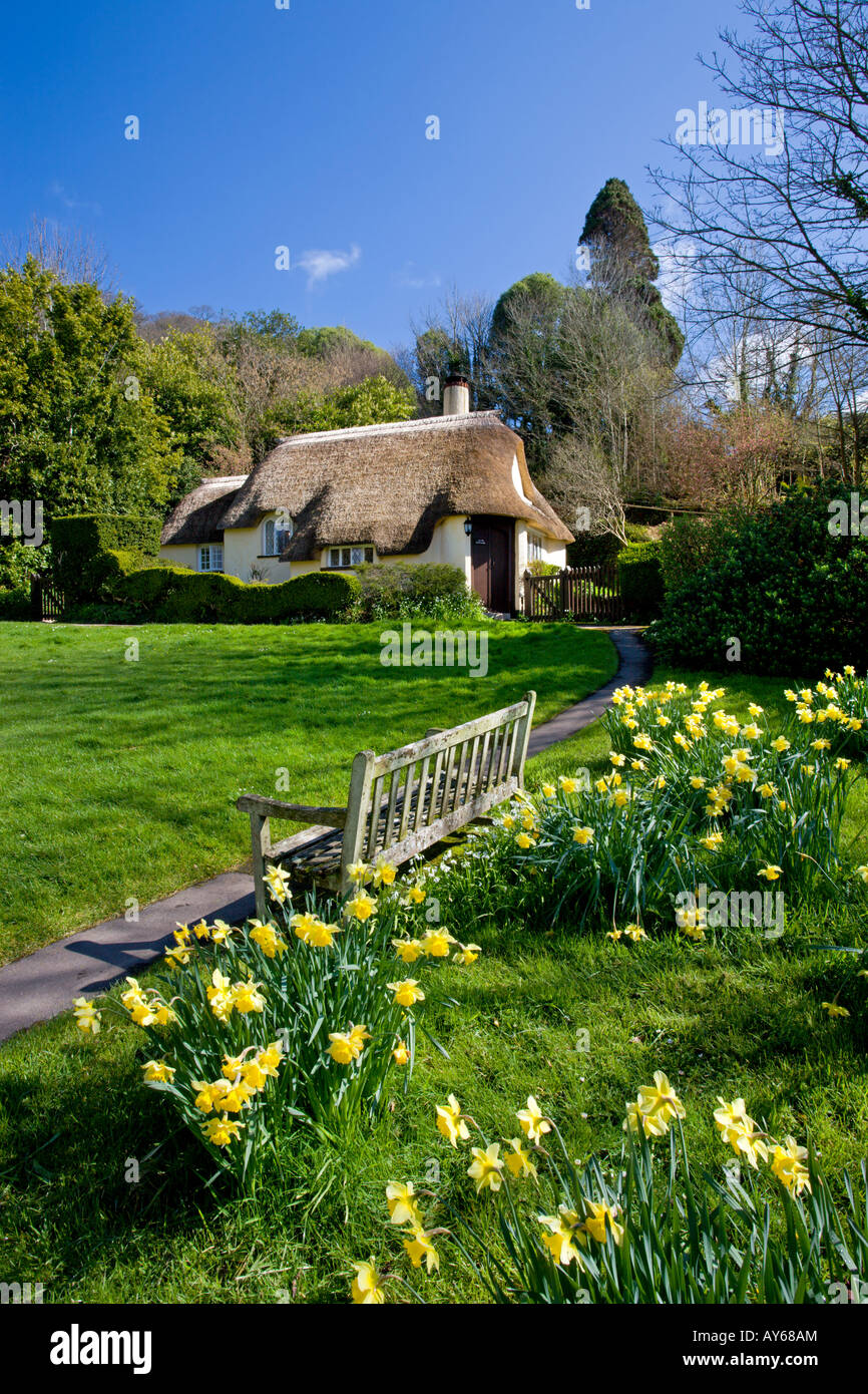 Graziosi cottage con tetto in paglia in Selworthy, Parco Nazionale di Exmoor, Somerset Foto Stock