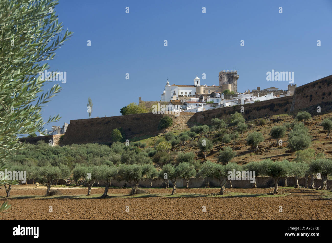 Portogallo Alentejo, Estremoz, murata medievale visto sugli uliveti Foto Stock