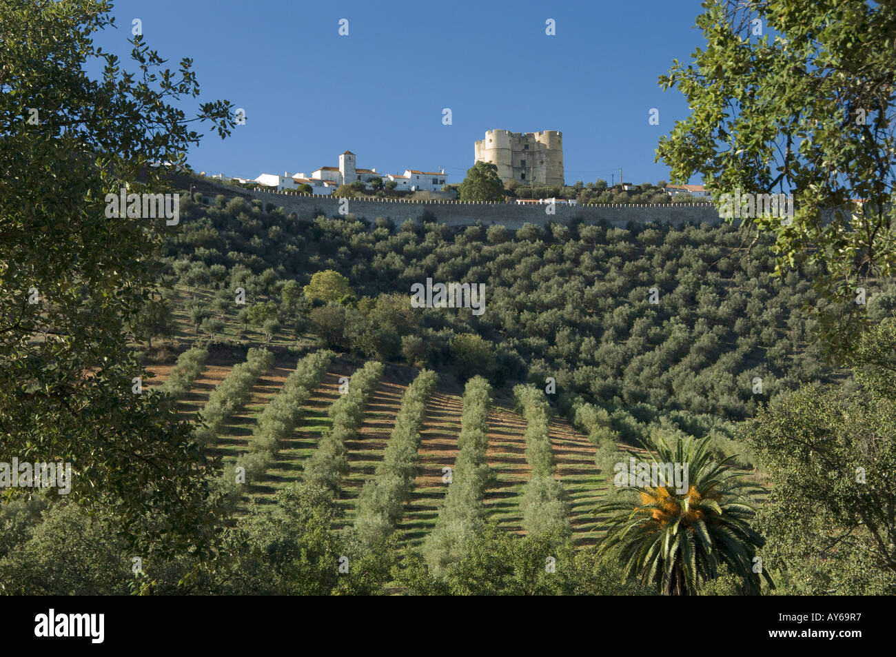 Portogallo Alentejo; Evoramonte; medievale cittadella fortificata vista sugli uliveti Foto Stock