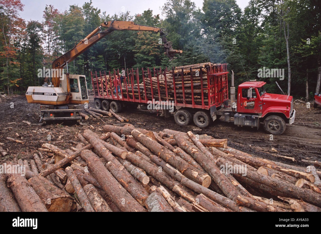 I registri di carico destinate al mulino di carta nei boschi del nord del New Hampshire USA Foto Stock