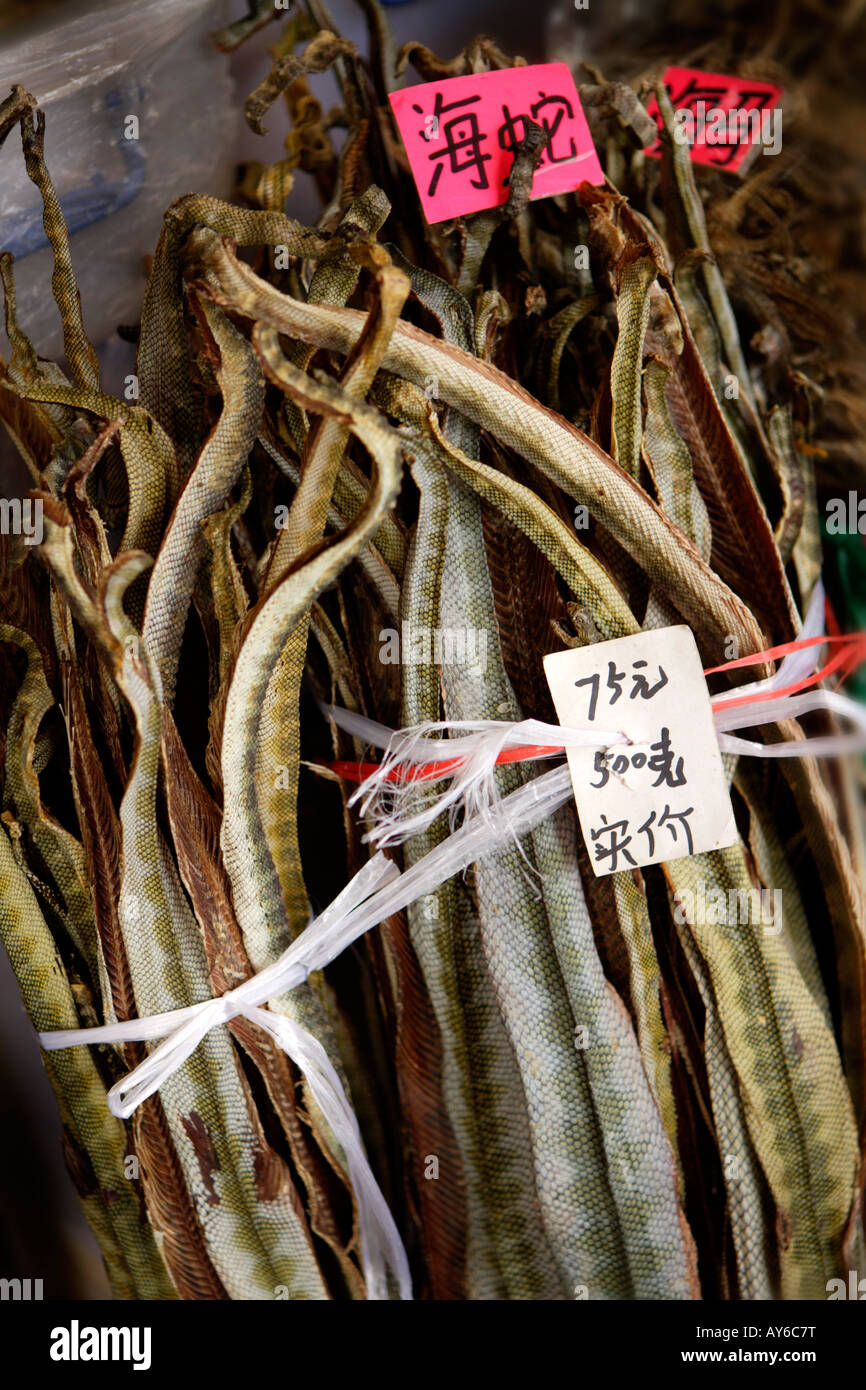 Snake, mercato pacifica, Guangzhou, Cina (questo mercato è già tristemente noto per illegale il traffico di animali) Foto Stock