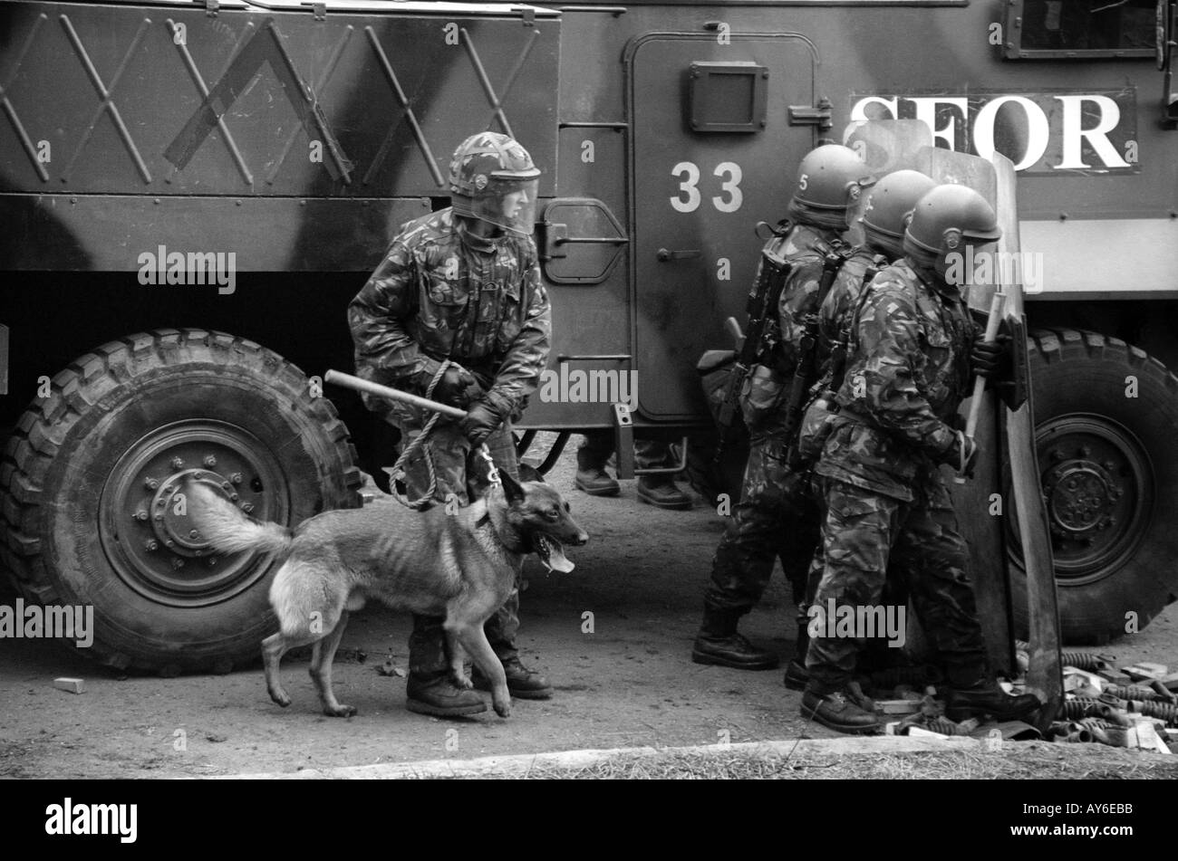Gestore del cane dall'esercito britannico si prepara a prendere il suo cane di fronte gli scudi di fermare un Rioter Foto Stock