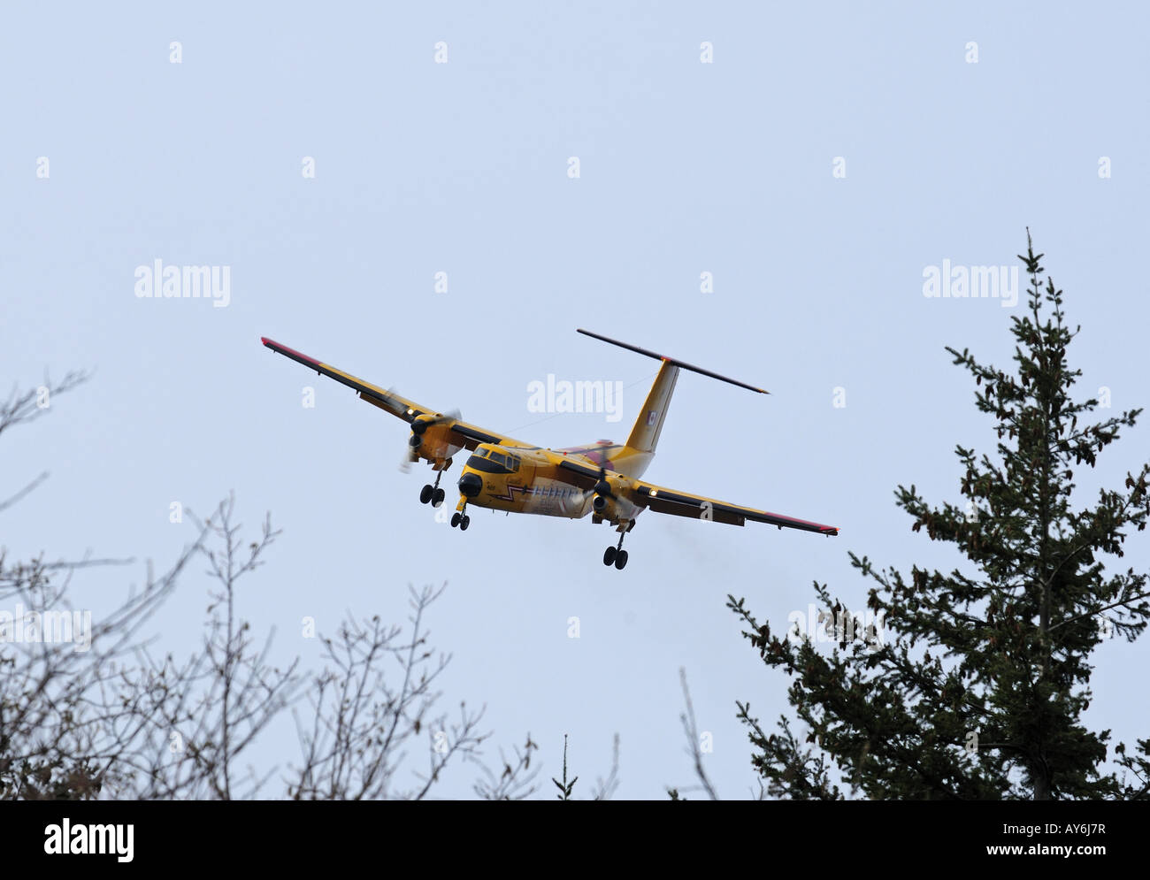 115465 DeHaviland Buffalo avvicinando Comox 19 Aviosuperficie di ala. Foto Stock