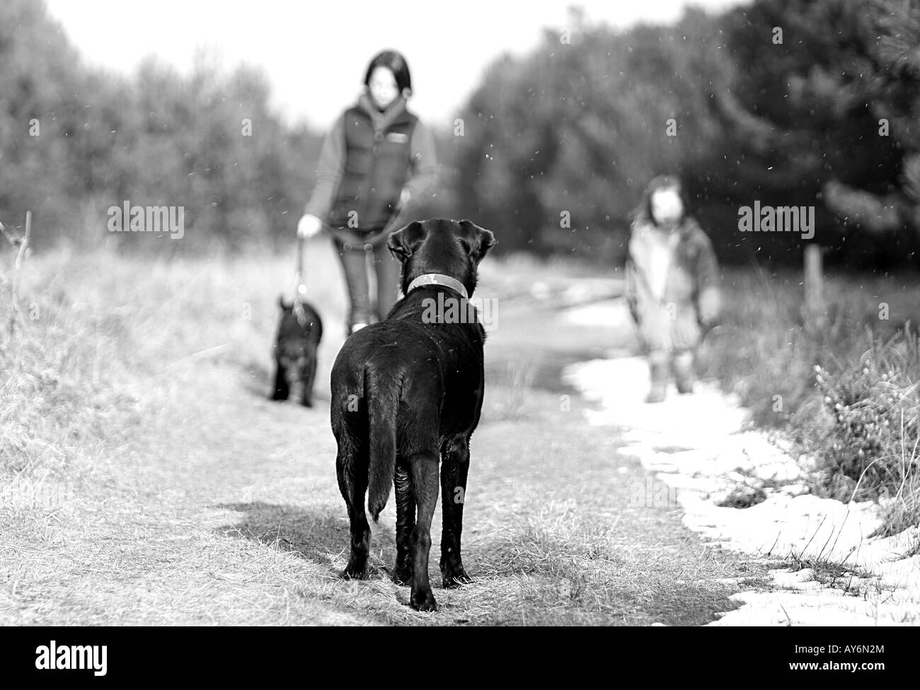 In attesa del cane per il proprietario e il bambino Foto Stock