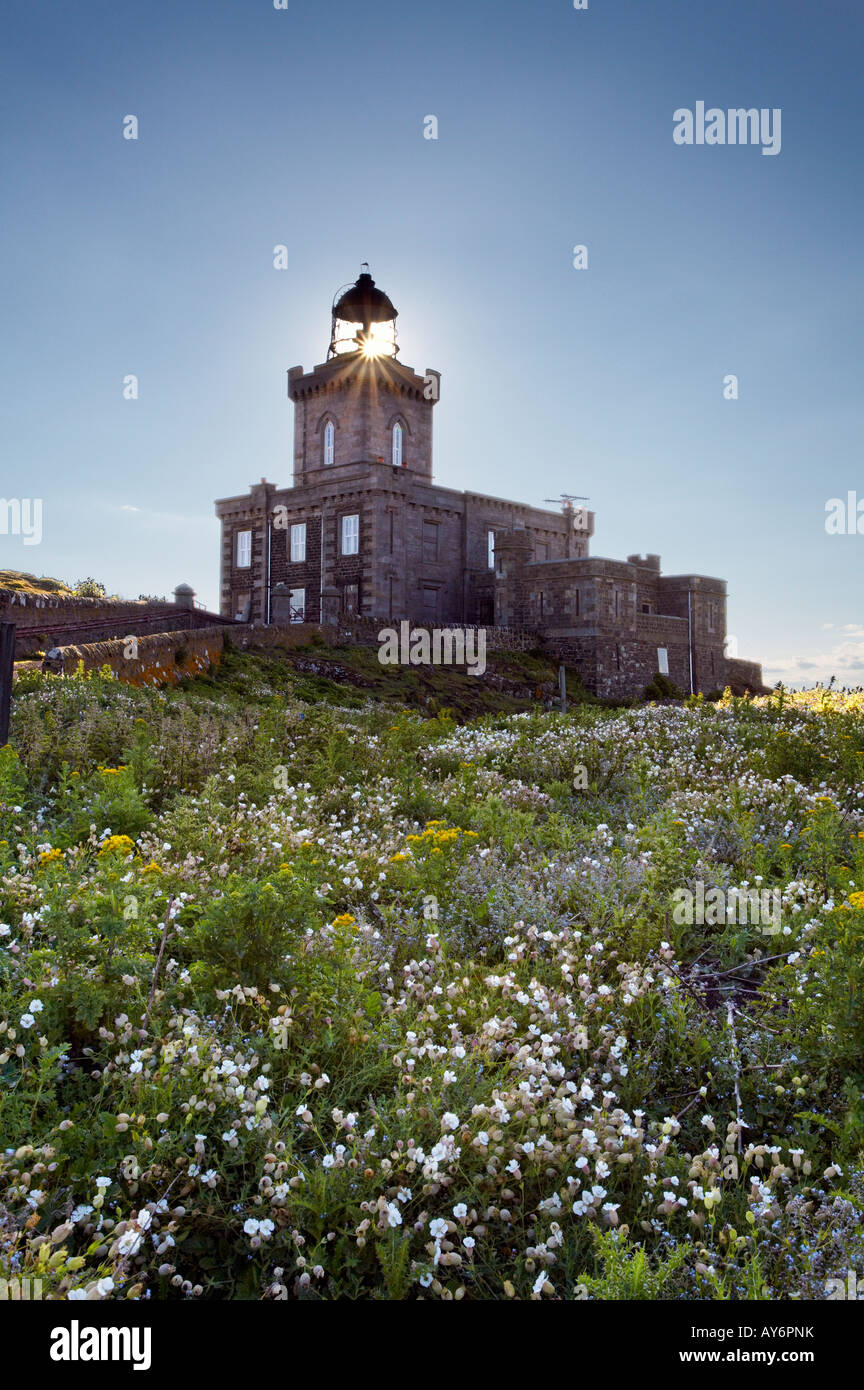 Luce principale, Isola di maggio, Firth of Forth, Fife, Scozia, Regno Unito Foto Stock