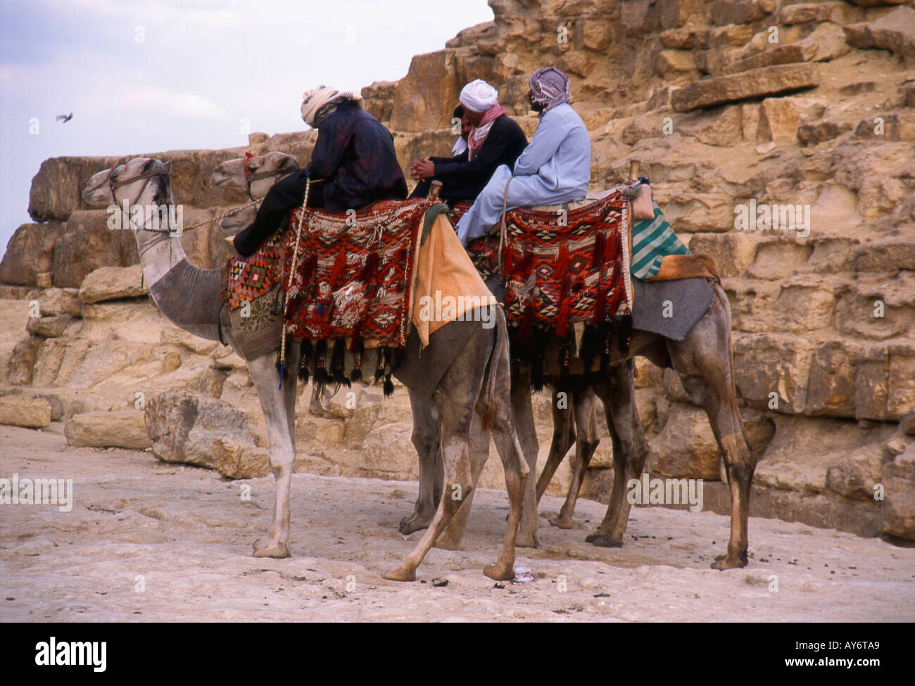 Gli uomini in abiti tradizionali cavalcare cammelli Piramidi di Giza Cairo Repubblica Araba di Egitto Egyptian Nord Africa Medio Oriente Foto Stock