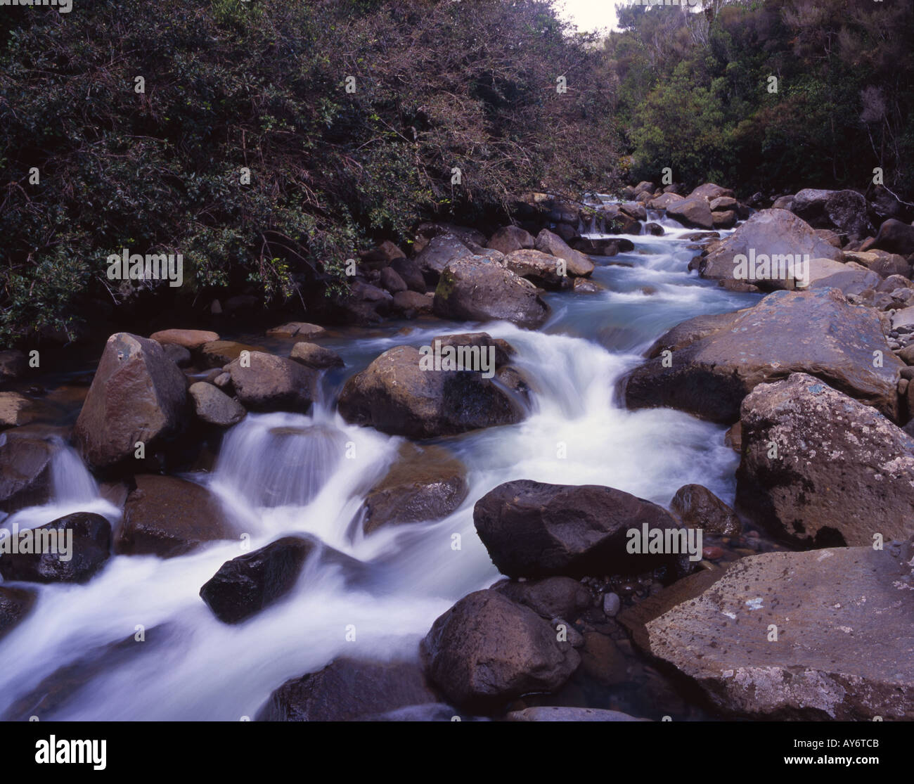 Fiume Waiwhakaiho Egmont Parco Nazionale Isola del nord della Nuova Zelanda Foto Stock