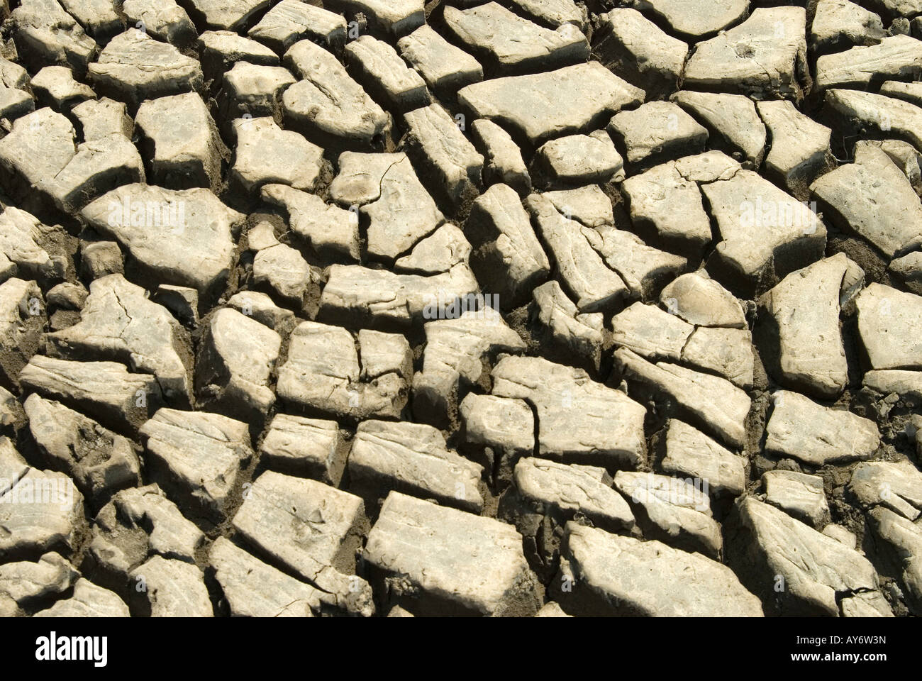 Letto asciutto del fiume in Thailandia Foto Stock