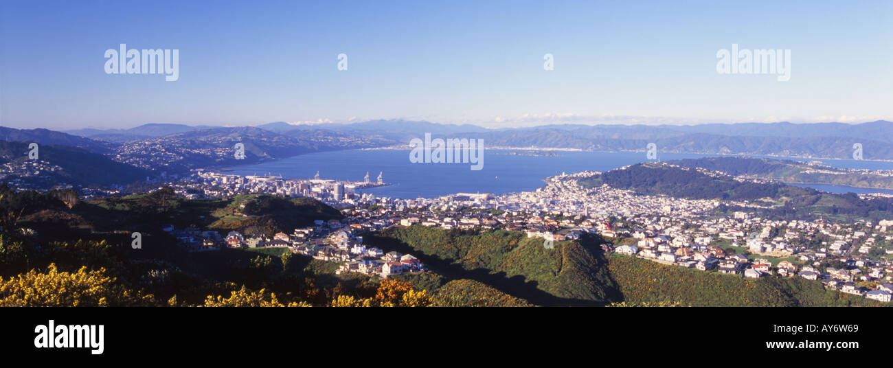 Wellington City Bay Isola del nord della Nuova Zelanda Foto Stock