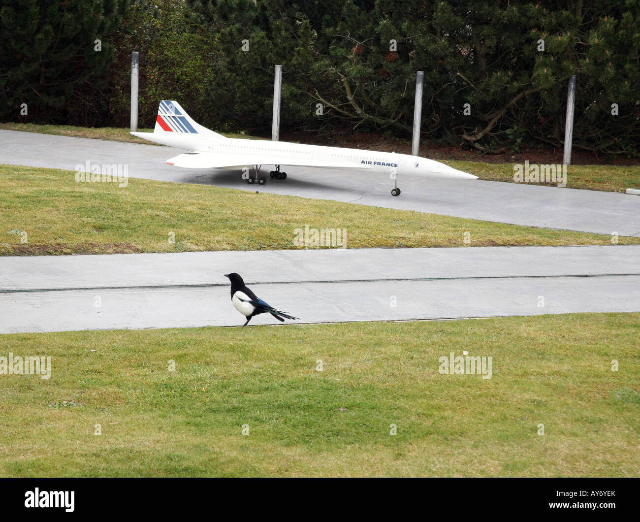 Modello e Concorde (reale) gazza nel villaggio di modello Foto Stock