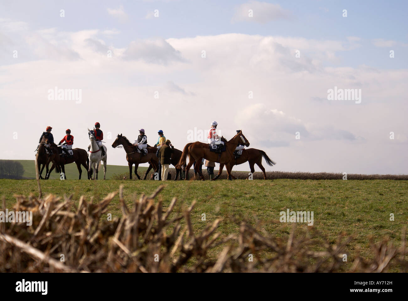 "Punto-punto"cavalli all'inizio di una gara nel corso della riunione del " del vecchio Berkshire Hunt a Lockinge vicino a Wantage Oxfordshire Foto Stock